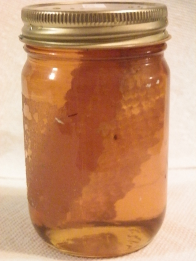 jar of tasty sourwood honey with a piece of comb
